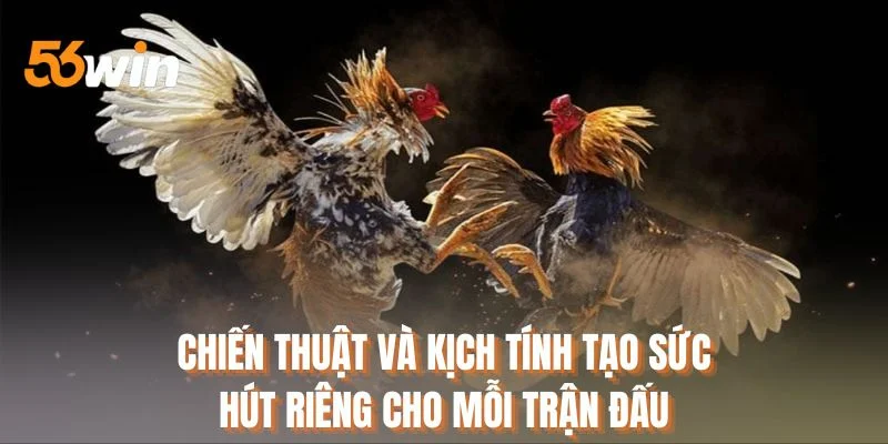 Chiến thuật và kịch tính tạo sức hút riêng cho mỗi trận đấu