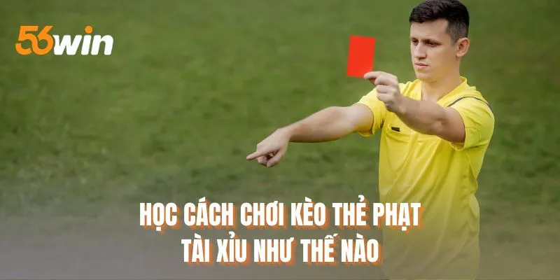 Học cách chơi kèo thẻ phạt tài xỉu như thế nào