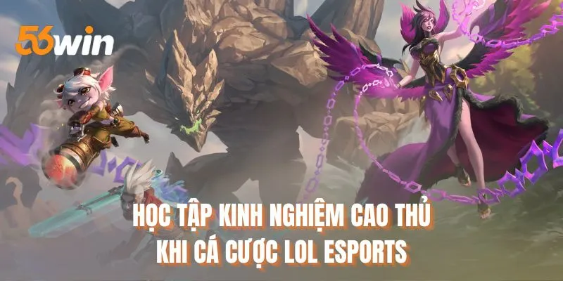 Học tập kinh nghiệm cao thủ khi cá cược LOL Esports