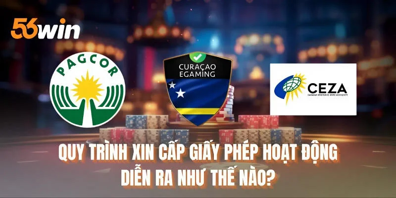 Quy trình xin cấp giấy phép hoạt động diễn ra như thế nào?